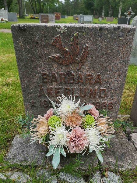 Hautatunnus: NK 09    33