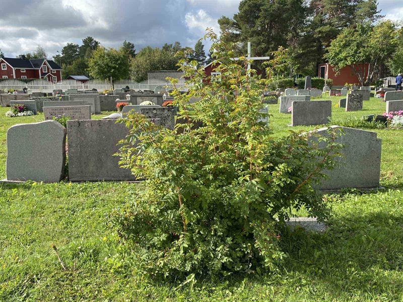 Hautatunnus: 2 08 136