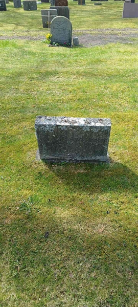 Hautatunnus: 3 Nya F   186-188