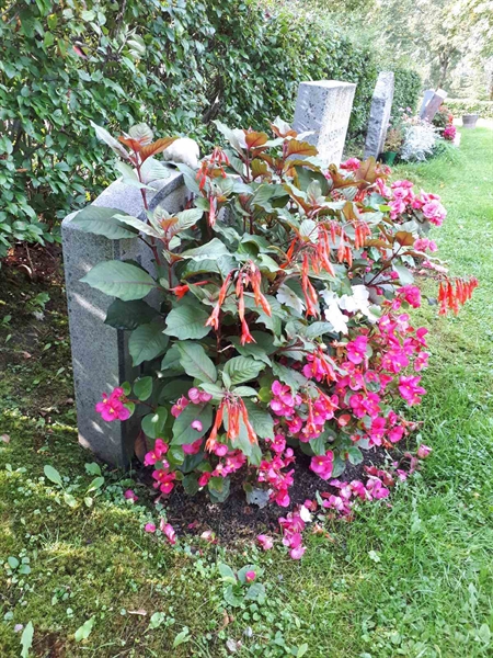 Gravnummer: NK F D    47