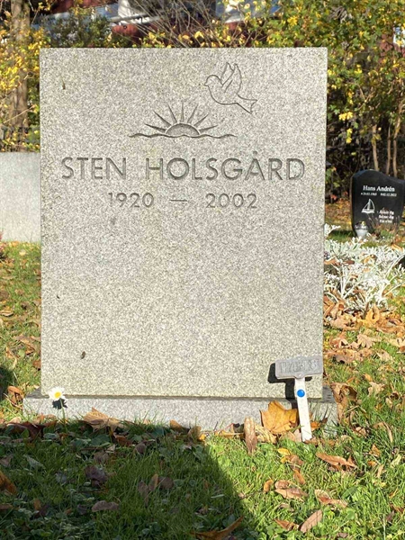 Hautatunnus: 1 H   448