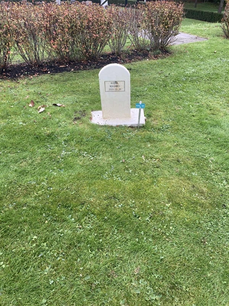 Hautatunnus: 1 3 M/Be    83