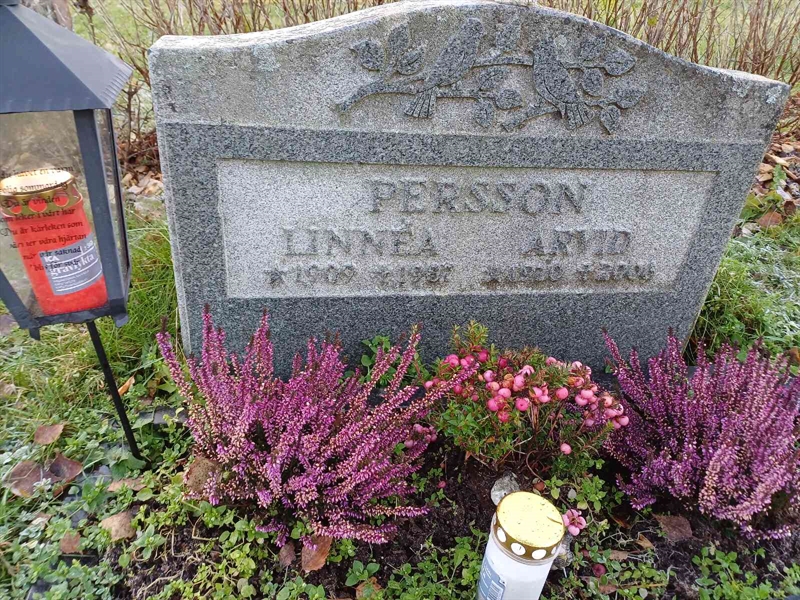 Grave number: JÄ 3 7801, 7802