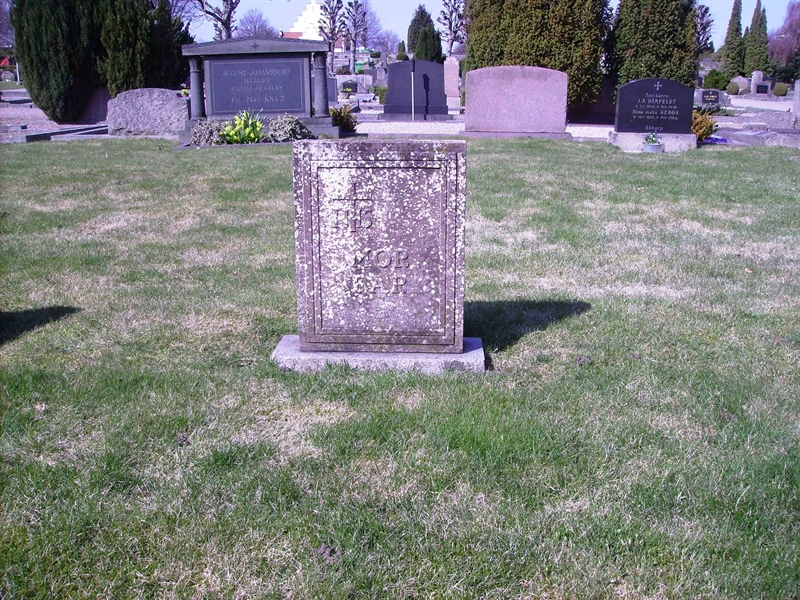 Grave number: LM 3 31  007