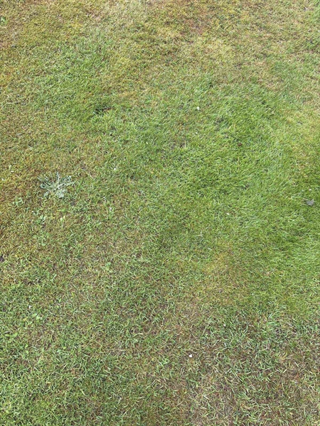 Grave number: SKF D    55