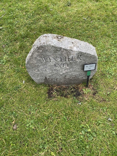 Hautatunnus: 2 E   141