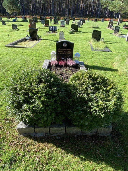 Grave number: 2 H    40