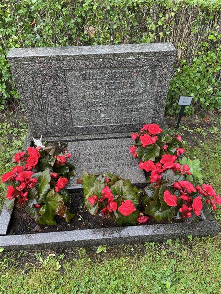 Grave number: 3 E     9-10