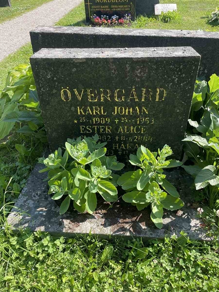 Gravnummer: N 5 2   259