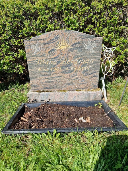 Grave number: 501 16 3058