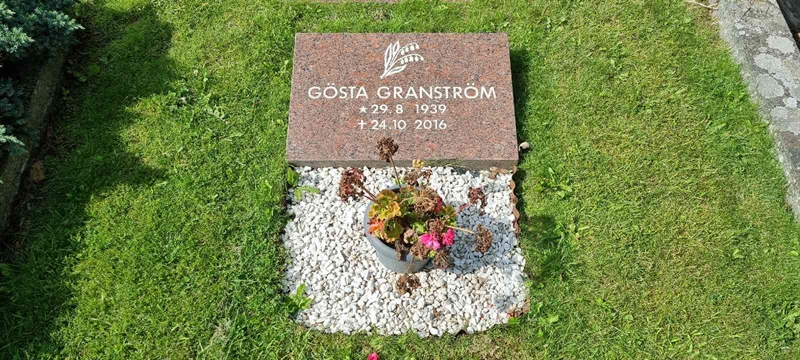 Grave number: LM 3 51  017