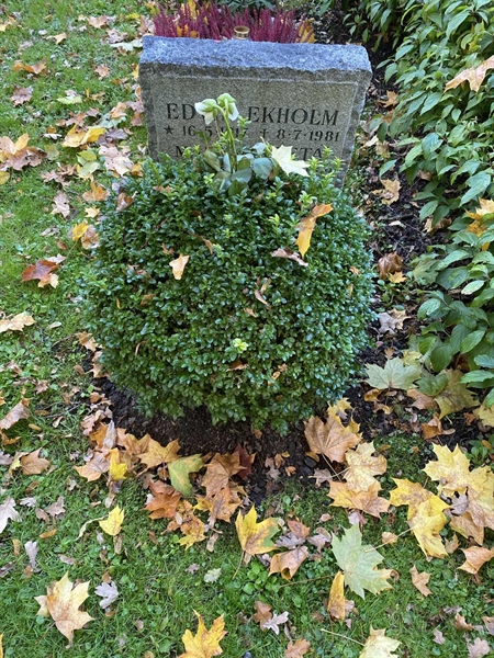 Hautatunnus: 1 H   415