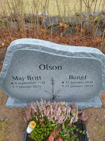 Grave number: 3 3 702