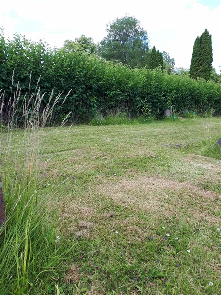 Grave number: GK A 5   169V