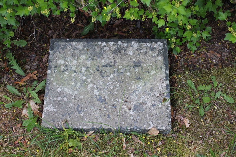 Grave number: A N  586