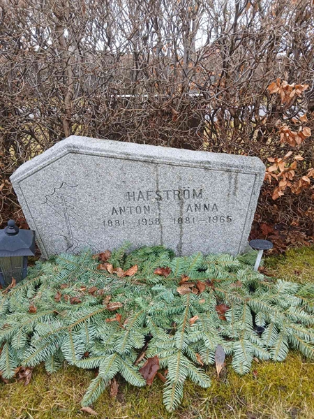 Gravnummer: 2 9   80, 81