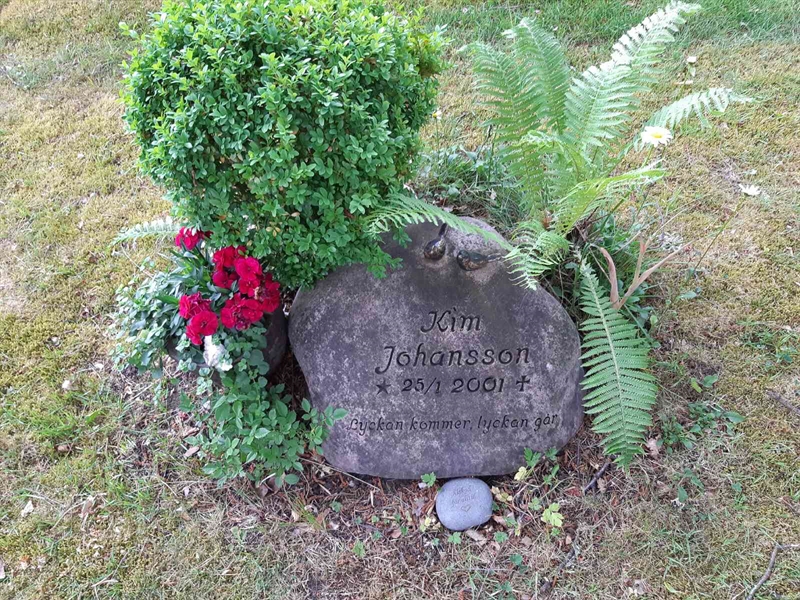 Grave number: 06 J   203