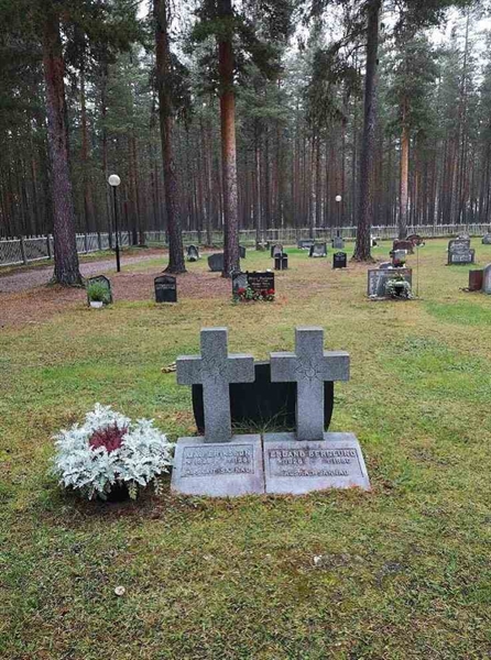 Hautatunnus: VLM 03    15:1