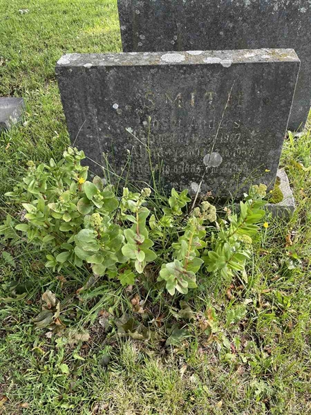 Hautatunnus: N 4 1   117