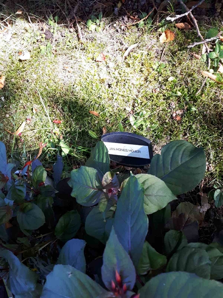 Hautatunnus: GK U 4   613