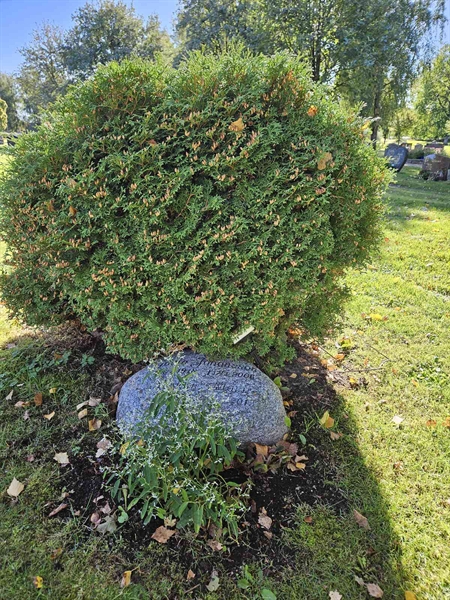 Hautatunnus: Fr 7   623