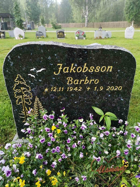 Hautatunnus: NK 22     6-7