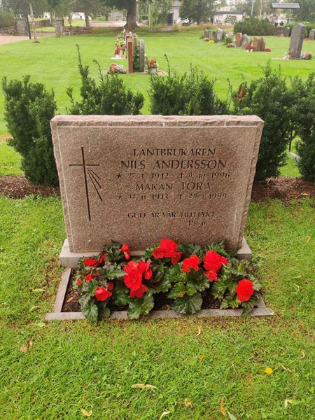 Grave number: VK H    31, 32, 33