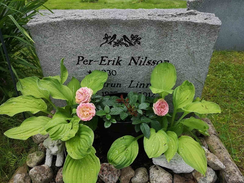 Hautatunnus: NK 14    10