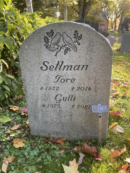 Hautatunnus: 1 H   138