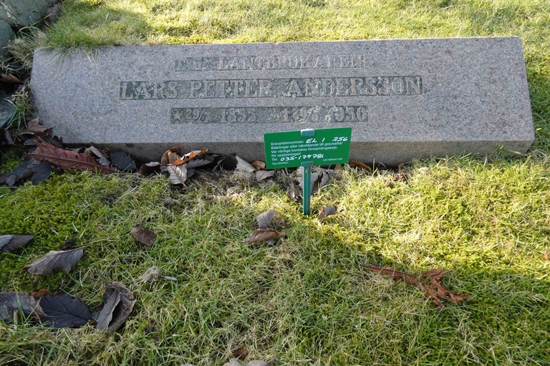 Grave number: EL 1   256