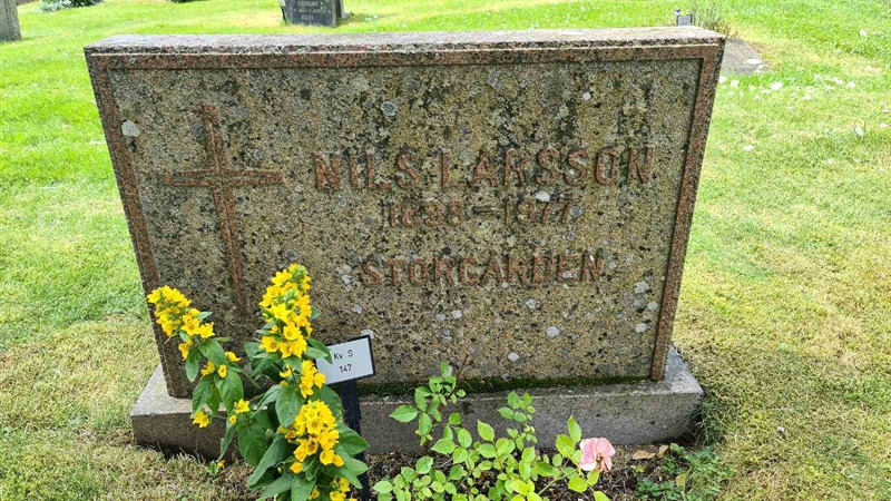 Grave number: M S  147
