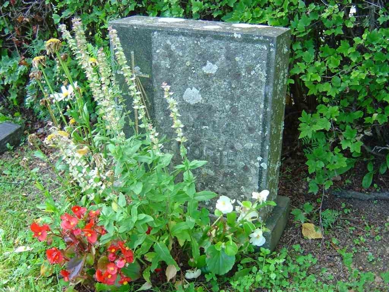 Grave number: A NB   16