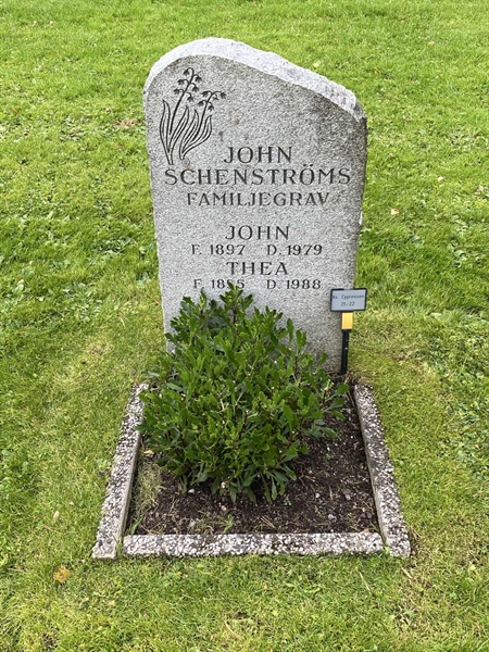 Hautatunnus: 2 C    21-22