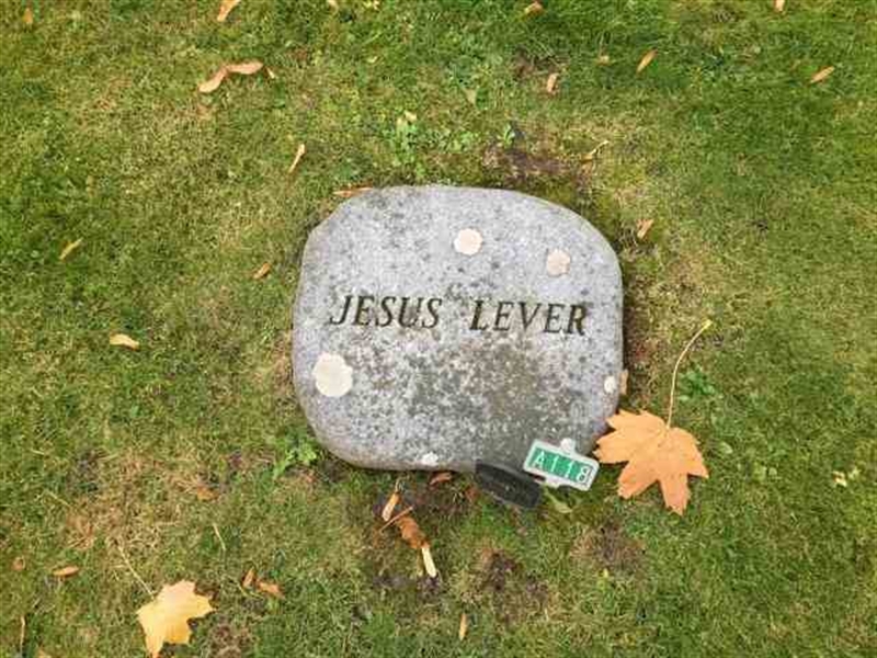 Grave number: 215 A   229-230