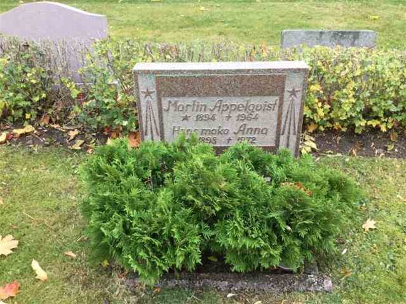 Grave number: 215 A   313-314