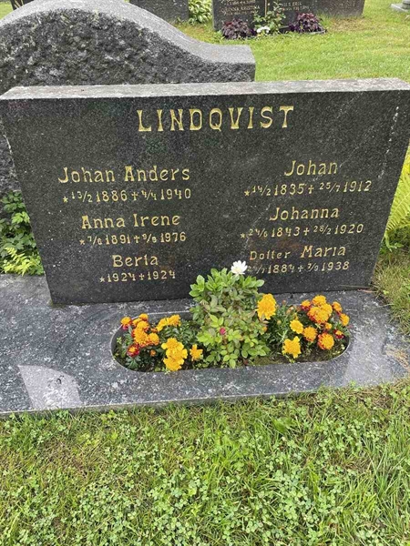 Gravnummer: N 4 4   588