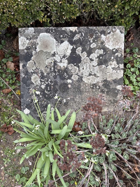 Grave number: FA 33