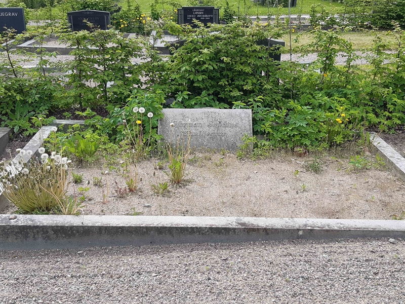 Grave number: NO 26    22