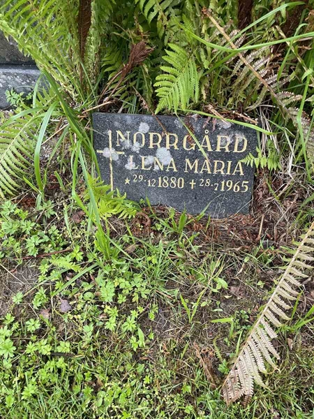 Hautatunnus: N 4 3   452