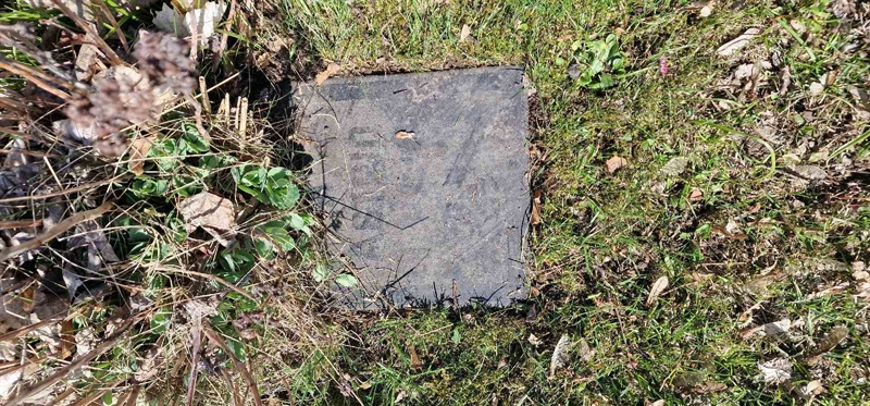 Grave number: F V A    38-39