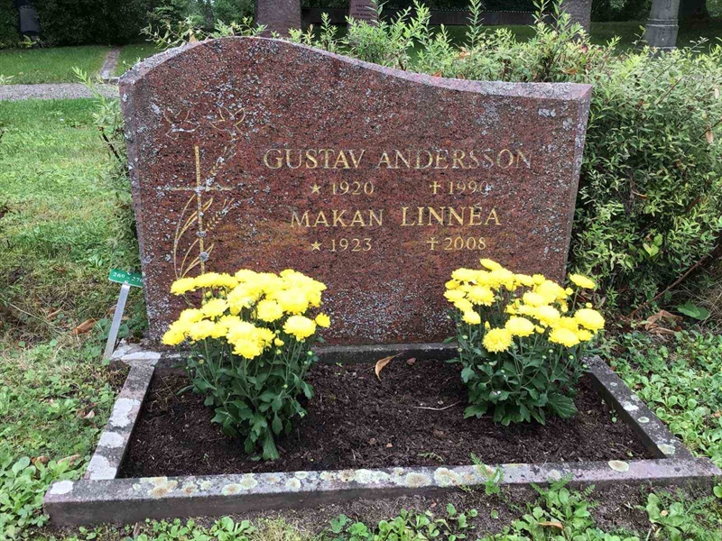 Hautatunnus: Led   269-270