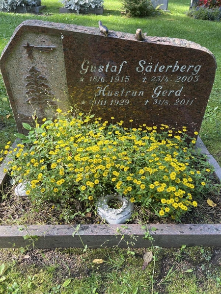 Grave number: 5 06   636