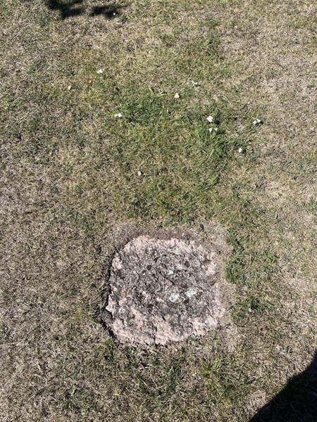 Grave number: NK I:u   453