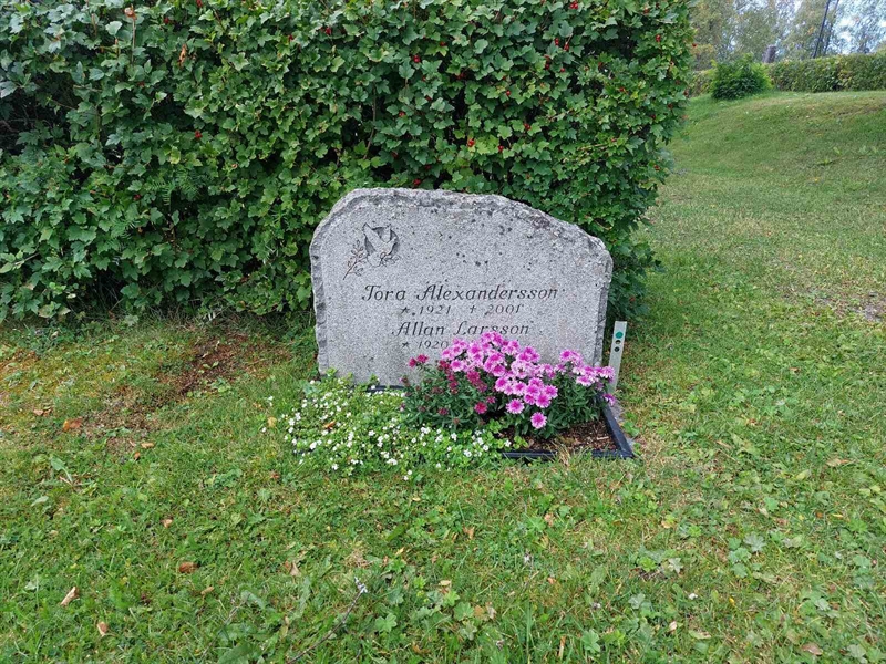Grave number: K K   227, 228