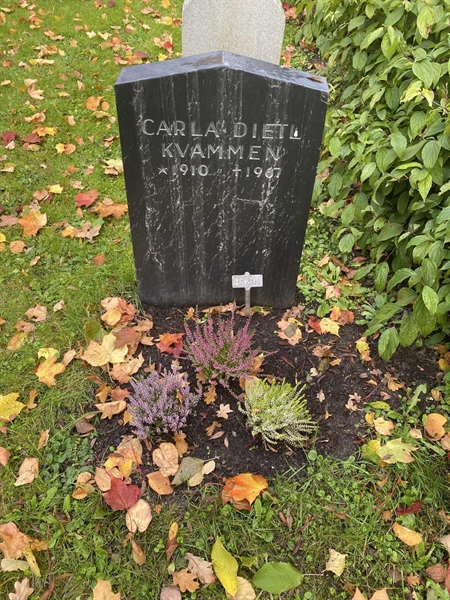 Hautatunnus: 1 H   214