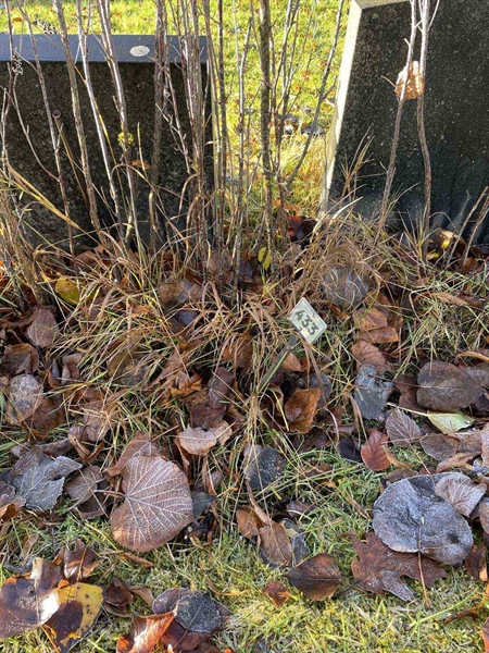 Gravnummer: GK A 3   433