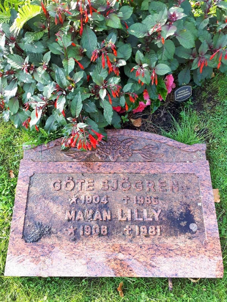 Hautatunnus: NK F C    45-46