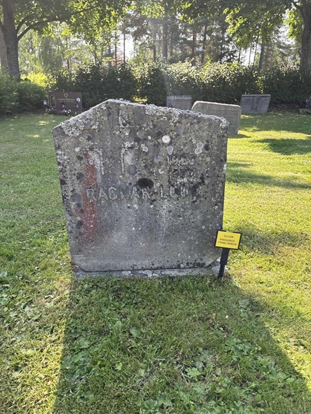 Hautatunnus: 1 C1    51
