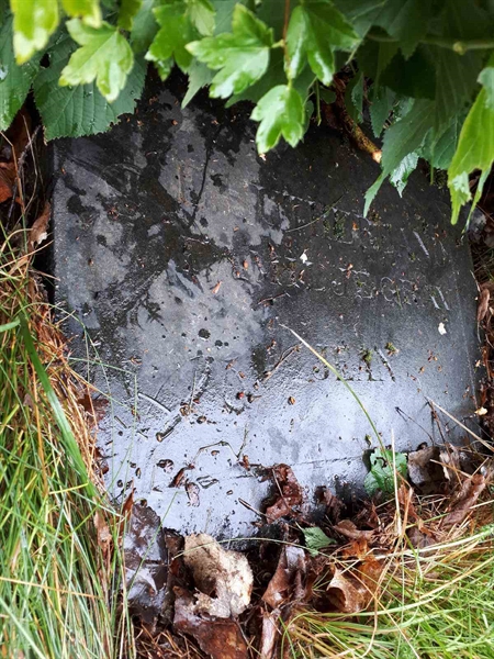 Gravnummer: GK F 5   584