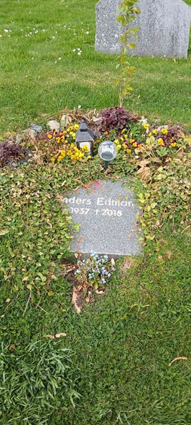 Grave number: 3 Nya K    41